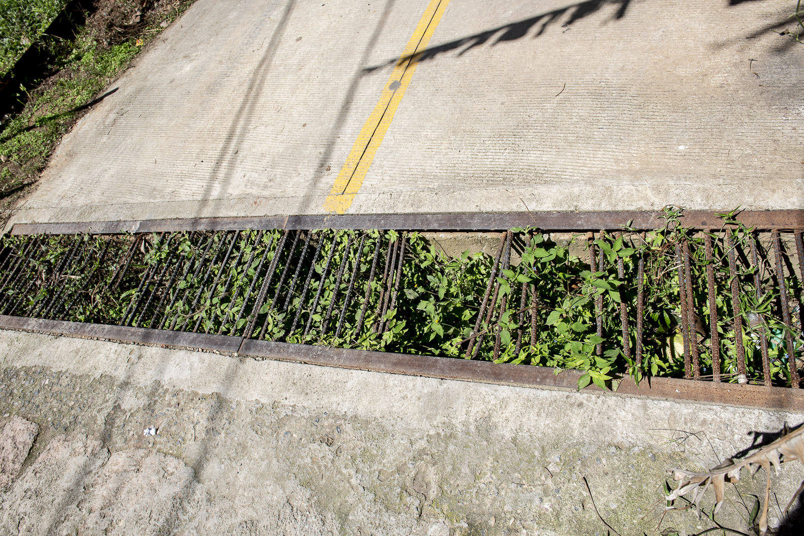 October 2025 - Repairs to grate/drain in laneway to school