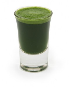 wheatgrass juice recipes, recipes for wheat grass juice, using wheat grass juice,