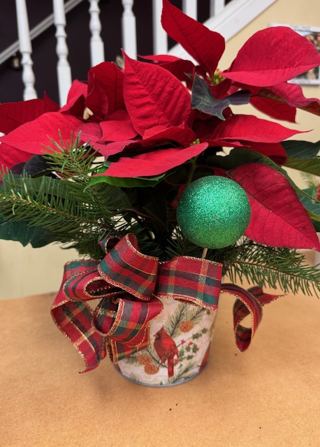 Decorated Poinsetta in Ceramic Pot