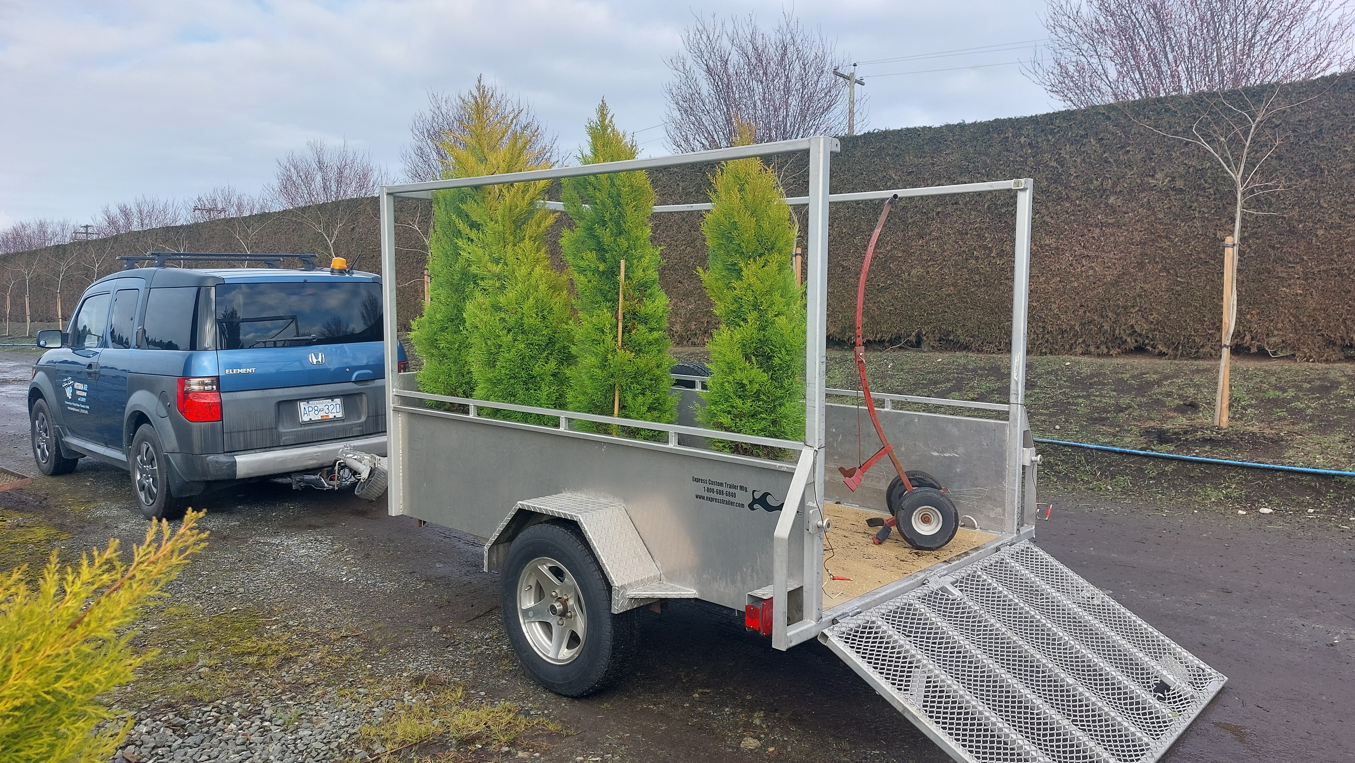 Landscaping Victoria BC Trees